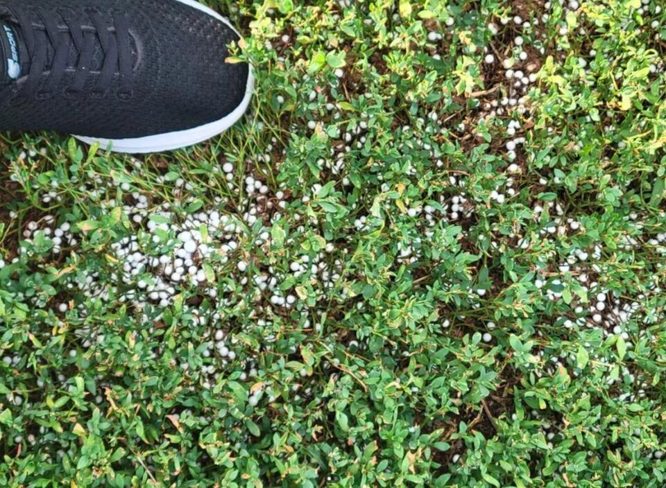 Neighbors and the 500-year bean bag mess