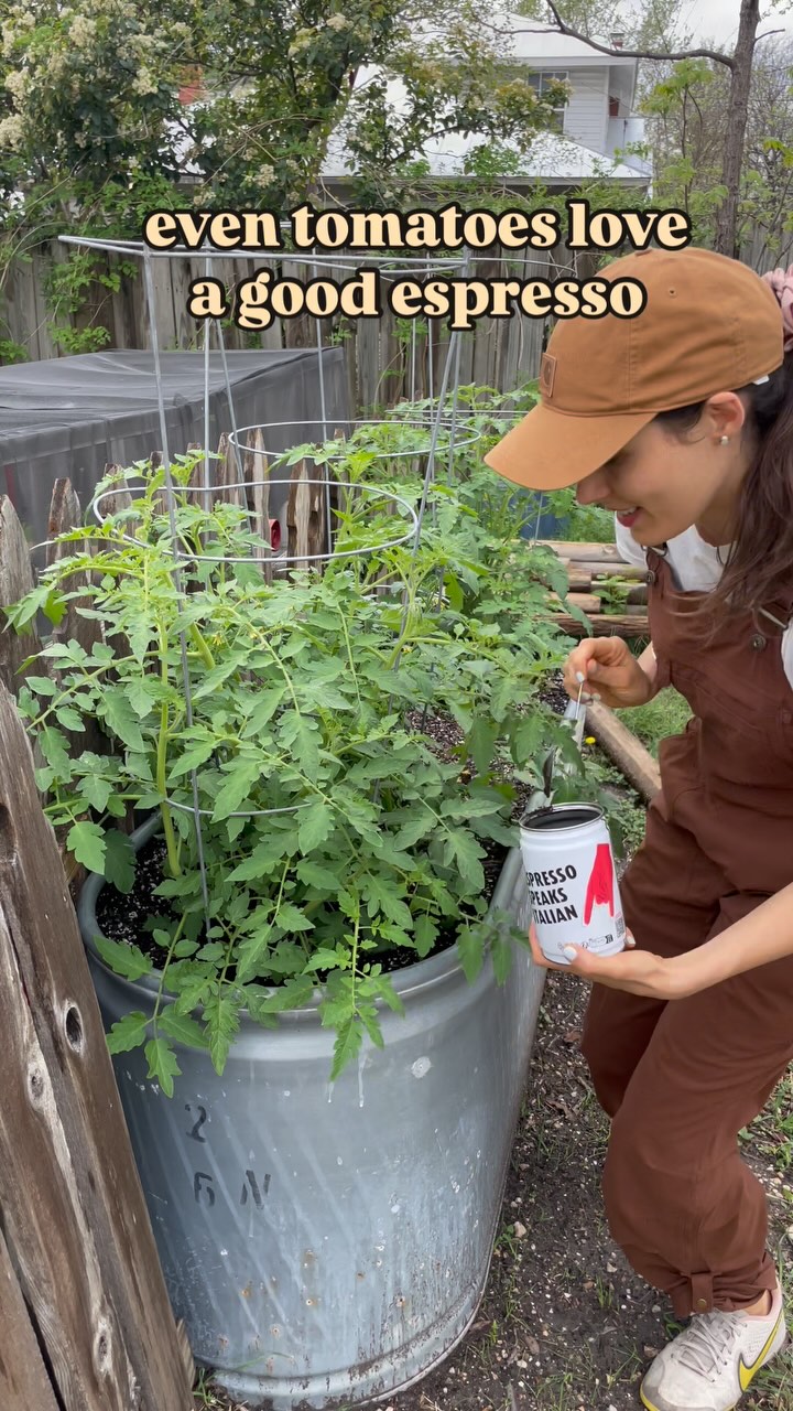 Coffee Grounds = Secret Garden Hack?