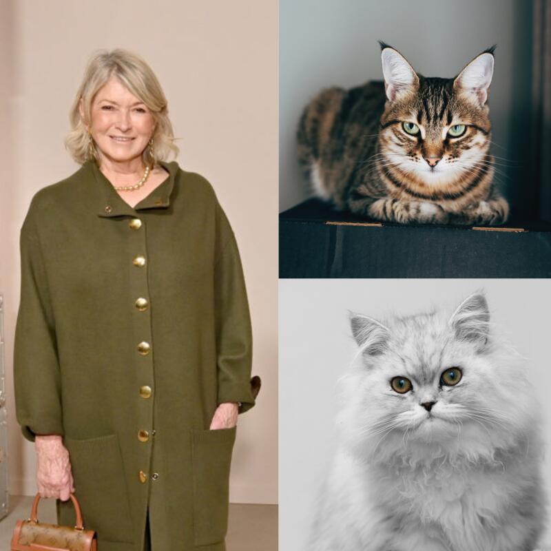 Martha Stewart’s Cat Crew Is Too Cute