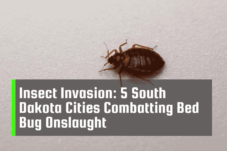 South Dakota’s bed bug battle heats up