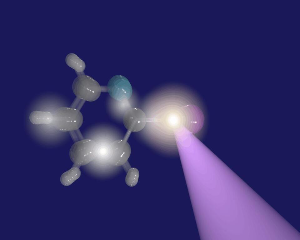Molecules Caught Dancing at Absolute Zero