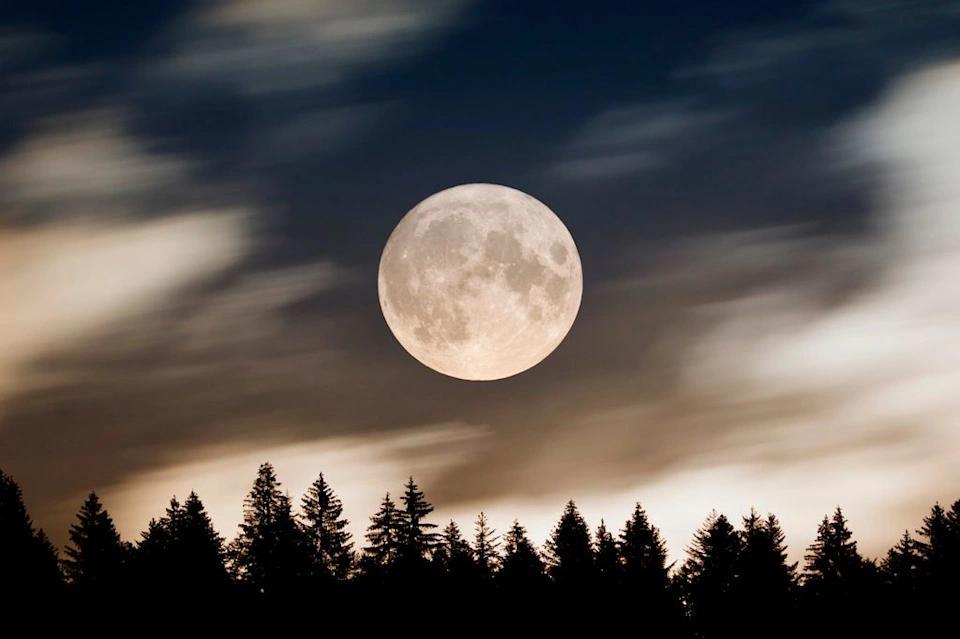 Sturgeon Moon Drama: Aquarius Vibes Incoming