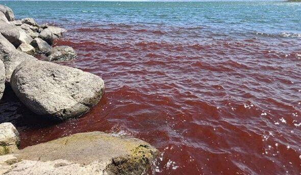 Sea of Galilee Goes Full Bible Mode?!