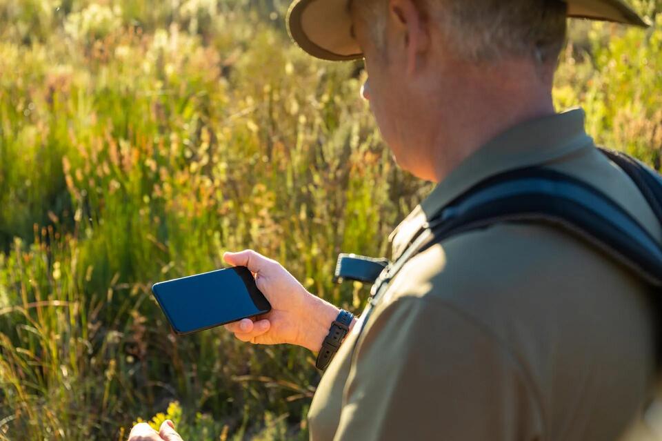 New Jersey’s wildlife tracker lets you help animals