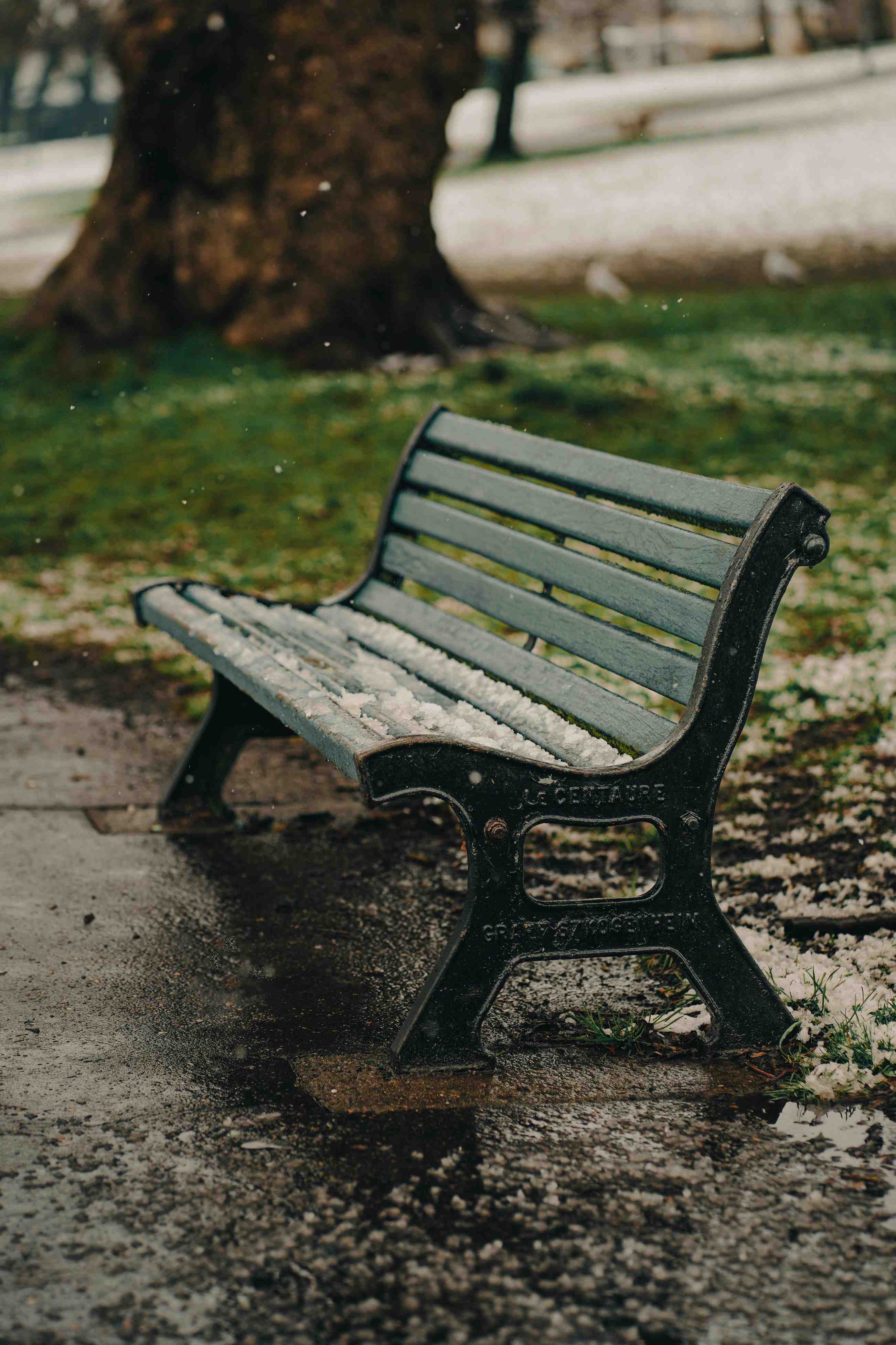 A Bench in the Rain