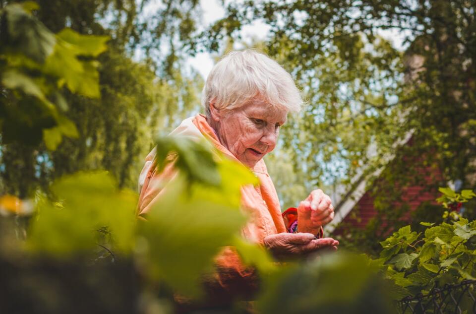 Why Seniors Should Think Twice About Joint Accounts