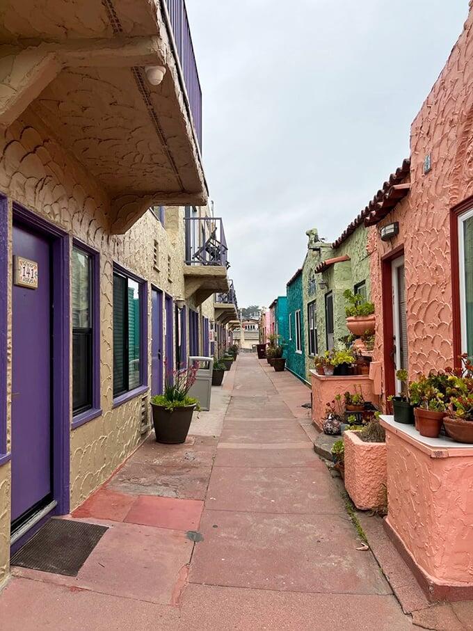 Capitola: California’s affordable beach life
