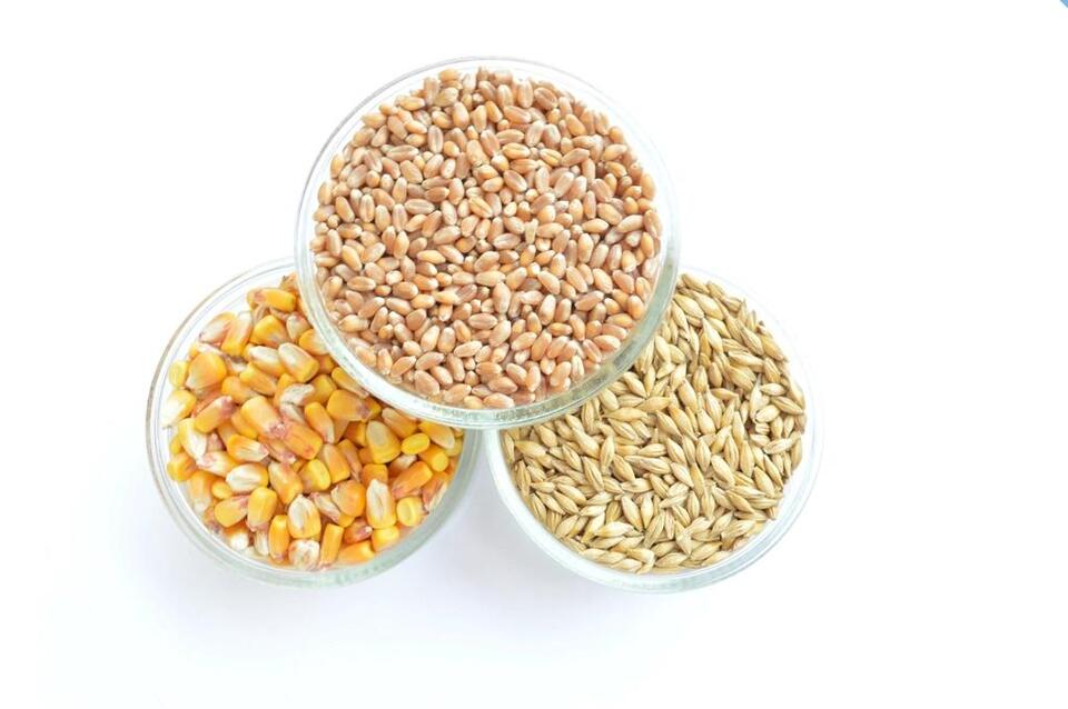 Foods That Secretly Wreck (or Boost) Your Health