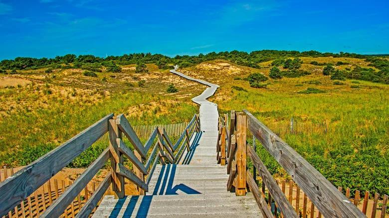 Plum Island: Massachusetts’ hidden beach escape