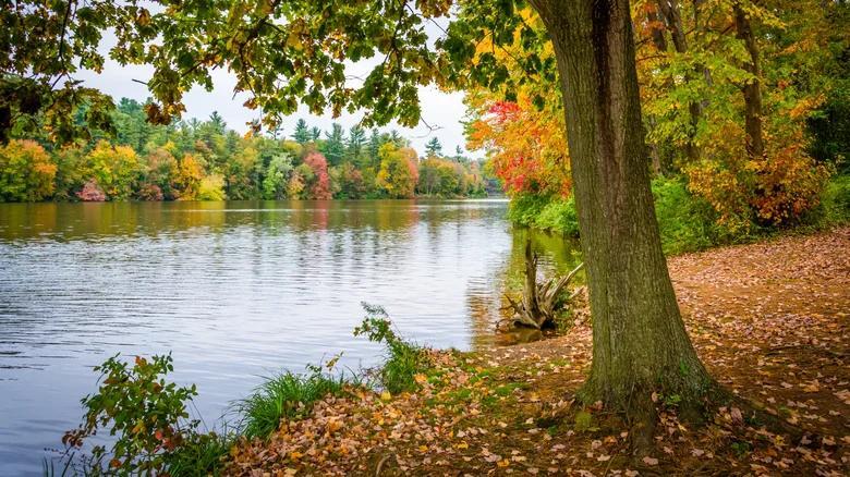 York’s creative scene is booming—and affordable