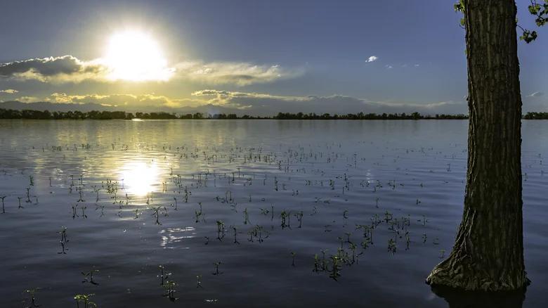 Denver’s hidden lake retreat: Barr Lake State Park
