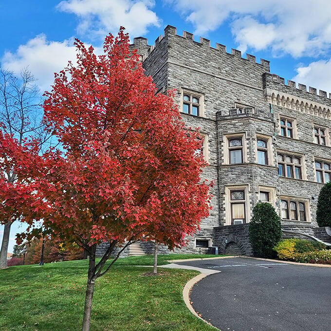 A real-life castle in suburban Philly?