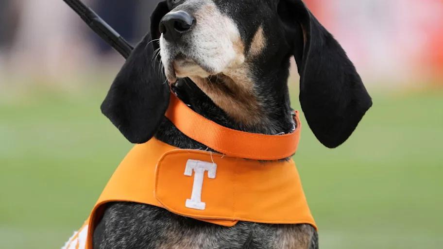 Fresh faces could shake up Tennessee offense