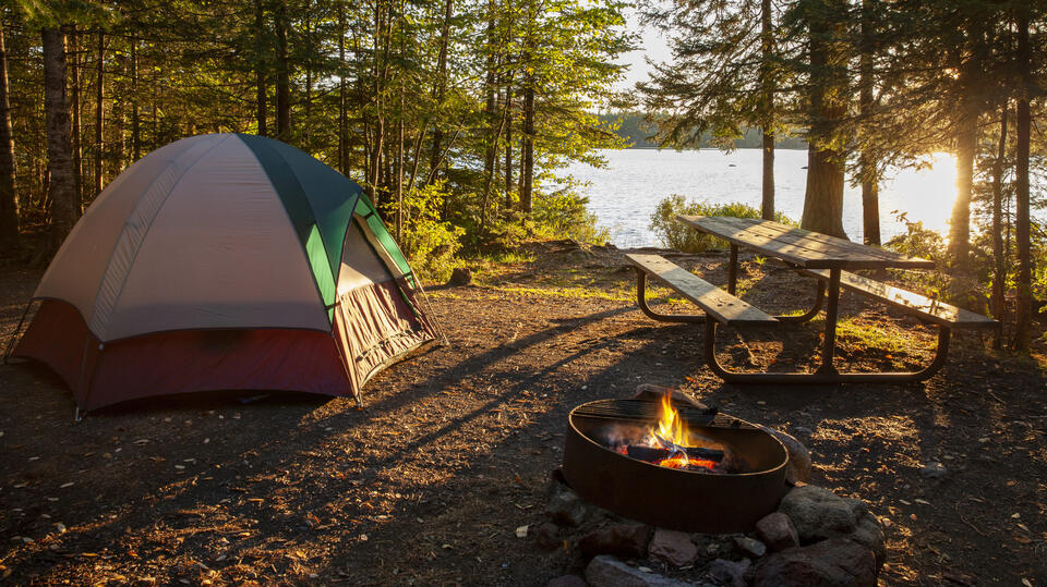 Don’t Let Bears Crash Your Camping Trip