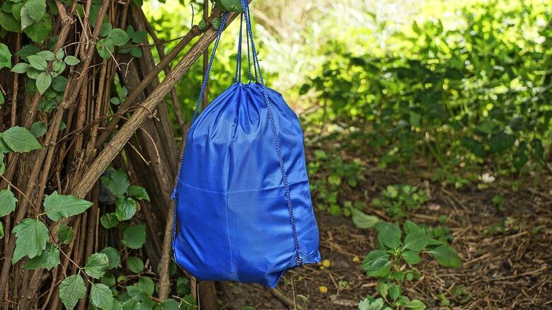Don’t Let Bears Crash Your Camping Trip