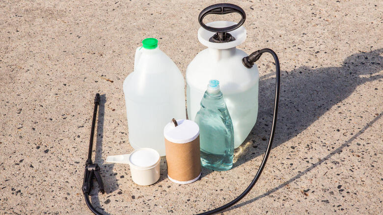 Gravel Weeds? Kitchen Hack to the Rescue!