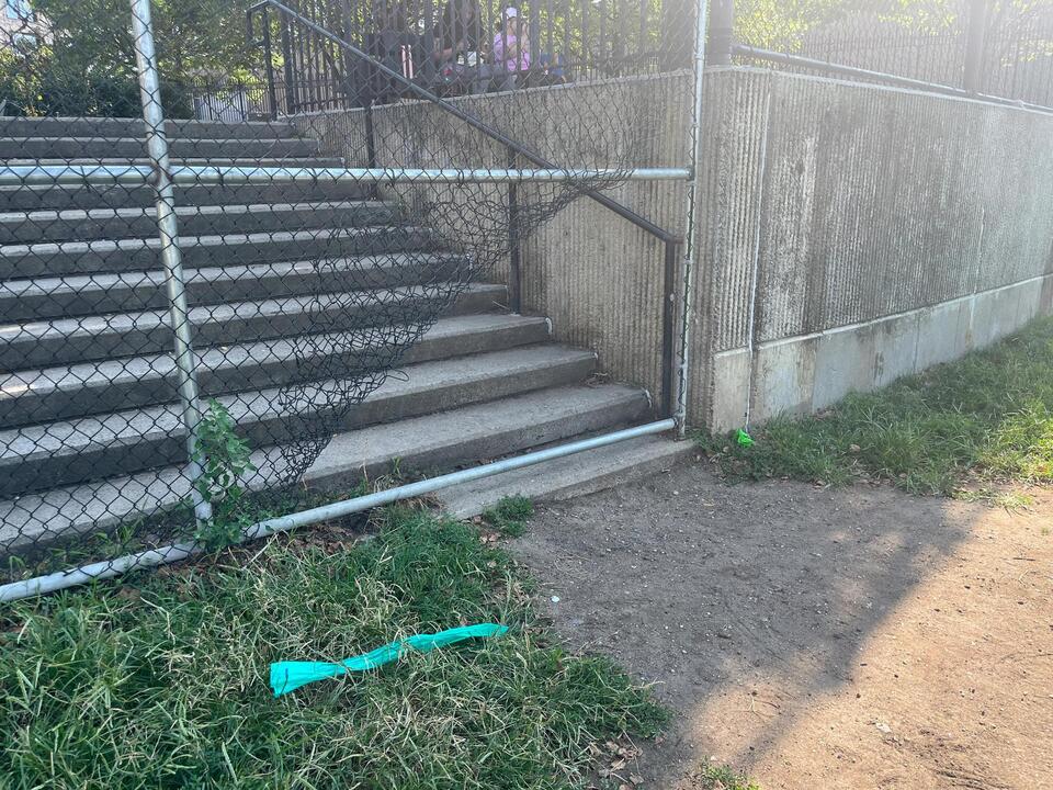 Brooklyn ballfield battle: Dogs vs. Little League