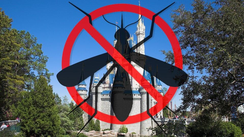 Disney’s Secret to a Mosquito-Free Zone