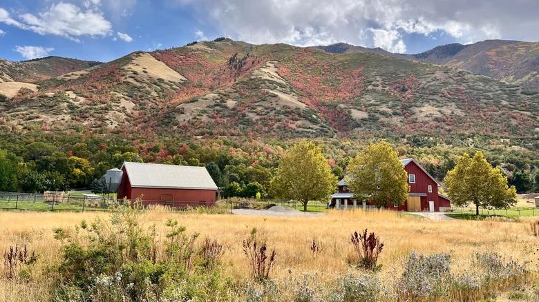 Mapleton’s mountain magic: Utah’s best-kept secret
