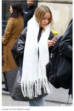 Harper Beckham’s Luxe Teen Style Era