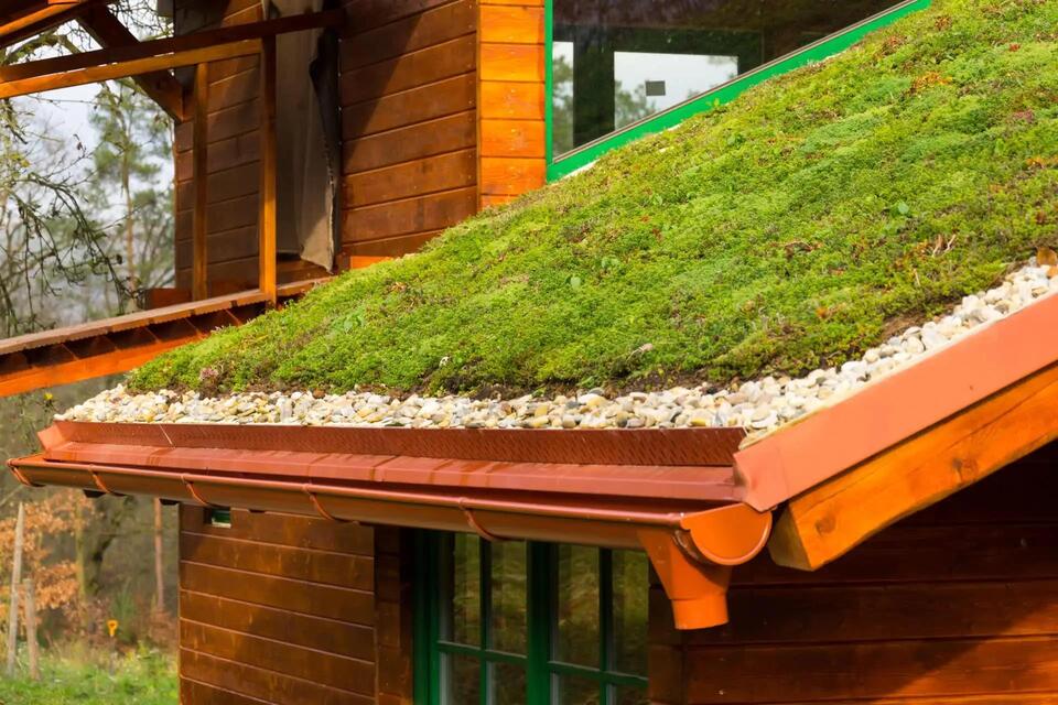 Green Roofs Are Secret Pollution Busters