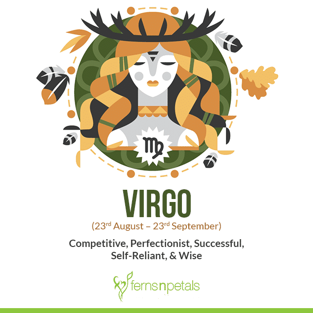 Why Virgos Secretly Control Everything