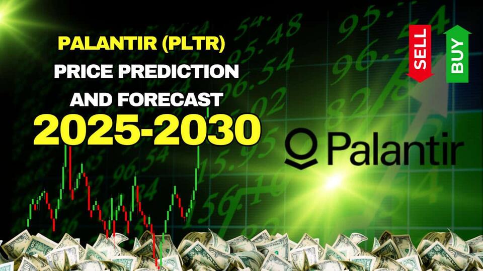 PLTR’s Wild Ride: Is It the Next Big AI Stock?