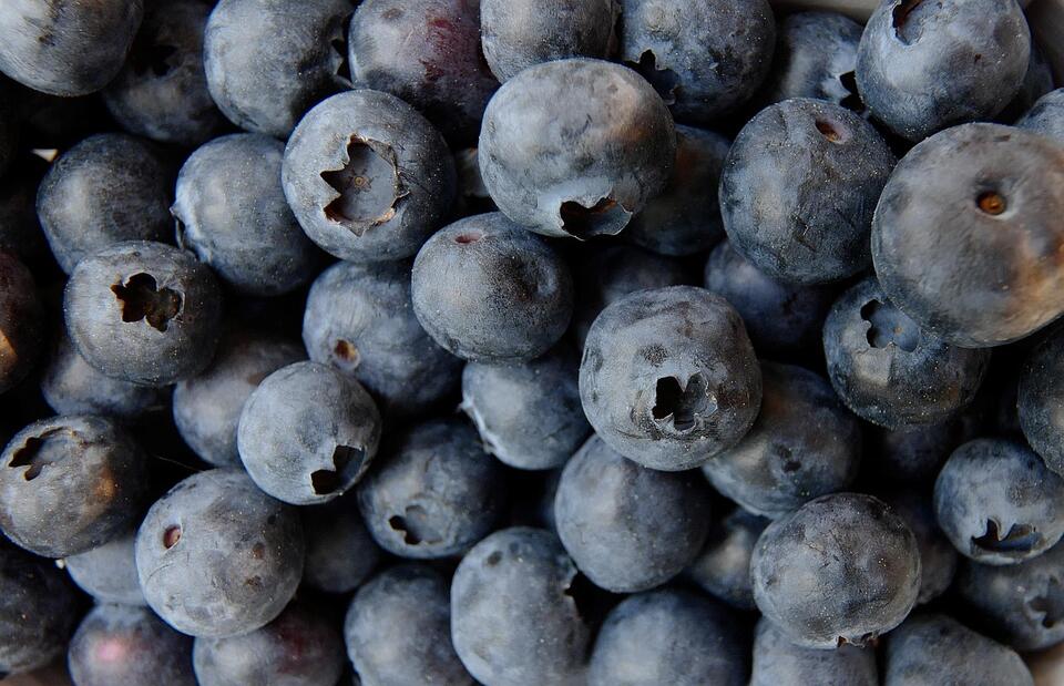 8 Fruits That Supercharge Your Brain