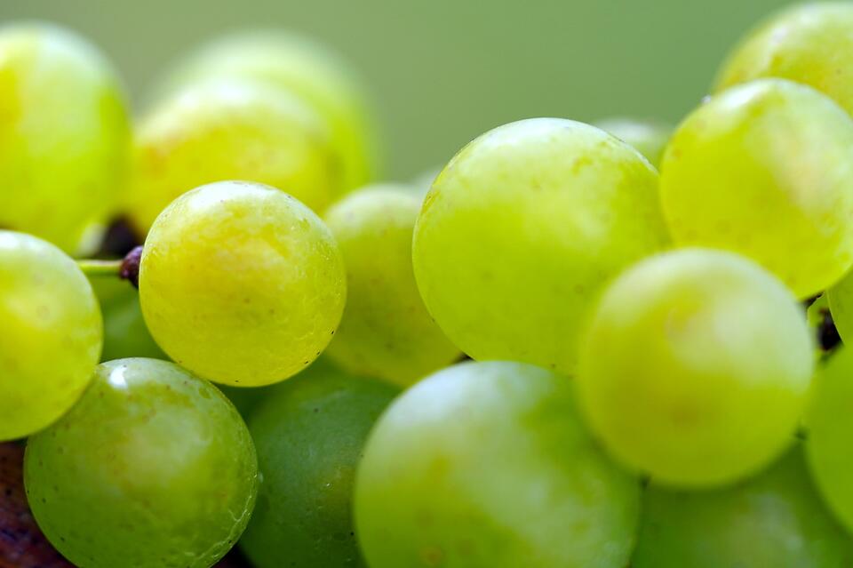 8 Fruits That Supercharge Your Brain