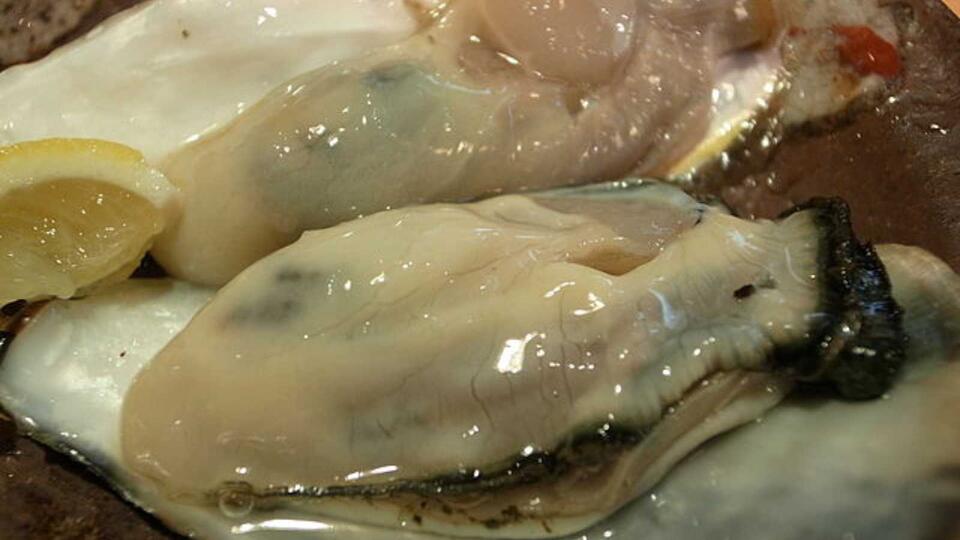 Seafood Scams You Need to Know About