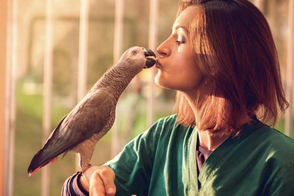 Parrot Outsmarts Us All With Existential Question