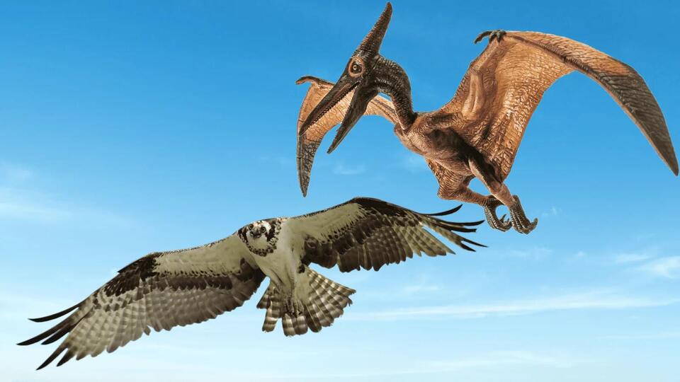 Dino DNA Drama: Birds Are Living Fossils!