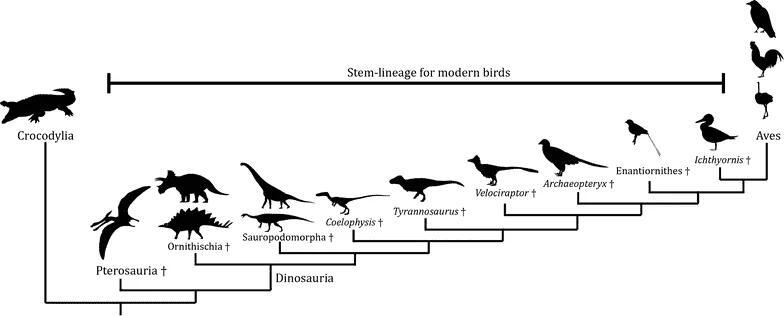 Dino DNA Drama: Birds Are Living Fossils!