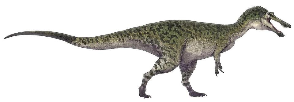 Dino DNA Drama: Birds Are Living Fossils!
