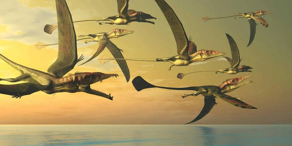Dino DNA Drama: Birds Are Living Fossils!
