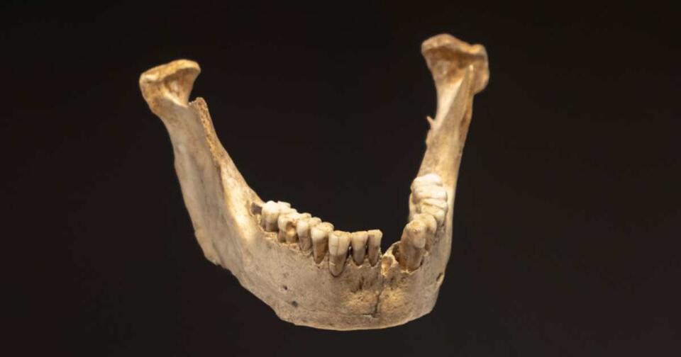 Ancient Teeth Spill Human Evolution Secrets