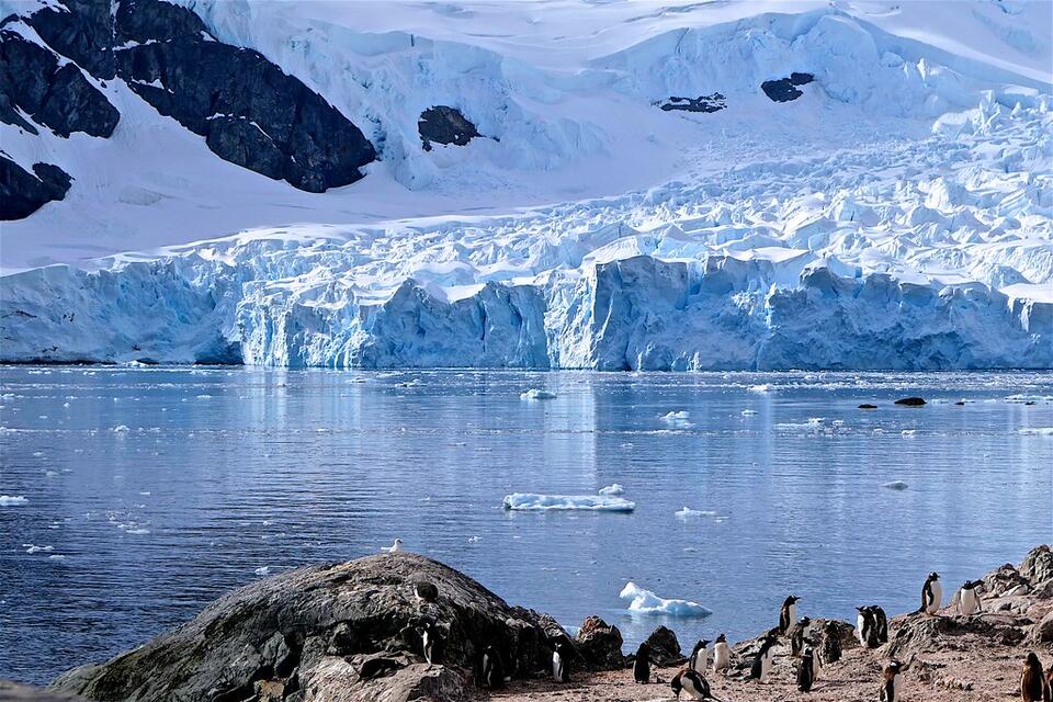 Antarctica’s Ice Just Did the Unthinkable