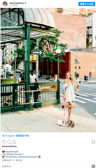 NYC’s Anna Delvey photoshoot sparks bunny rescue