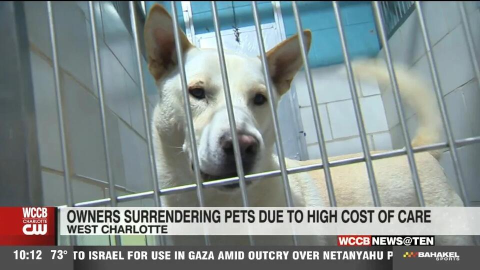 Pet Costs Are Out of Control!