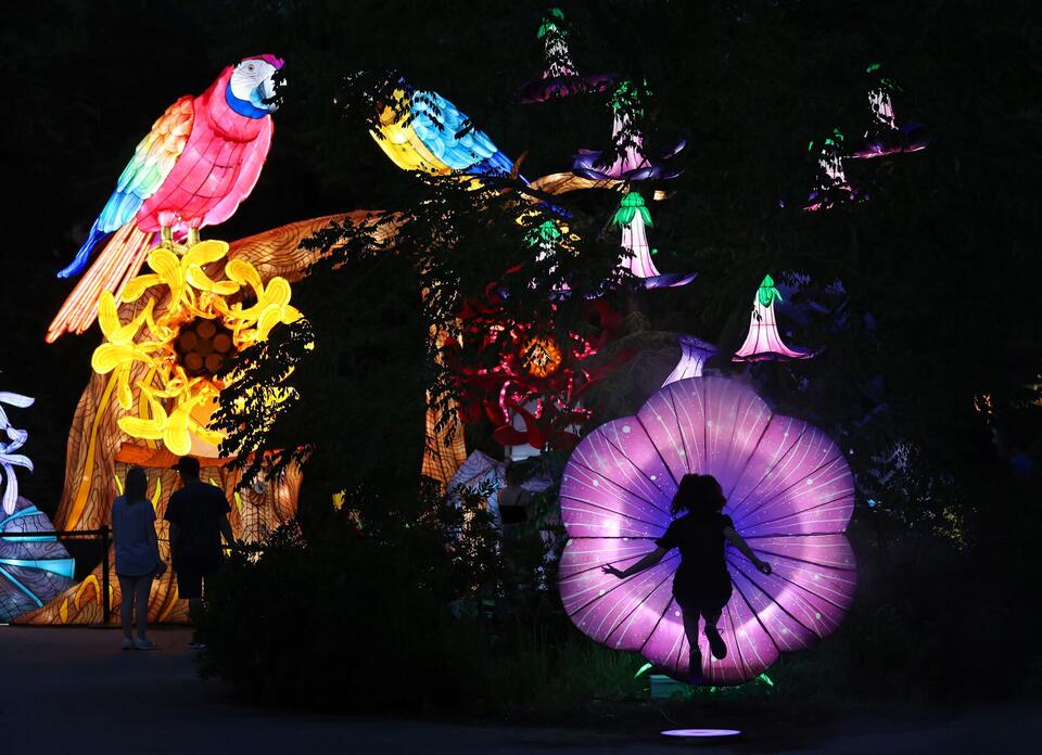 Cleveland Zoo lights up summer with lanterns & bikes