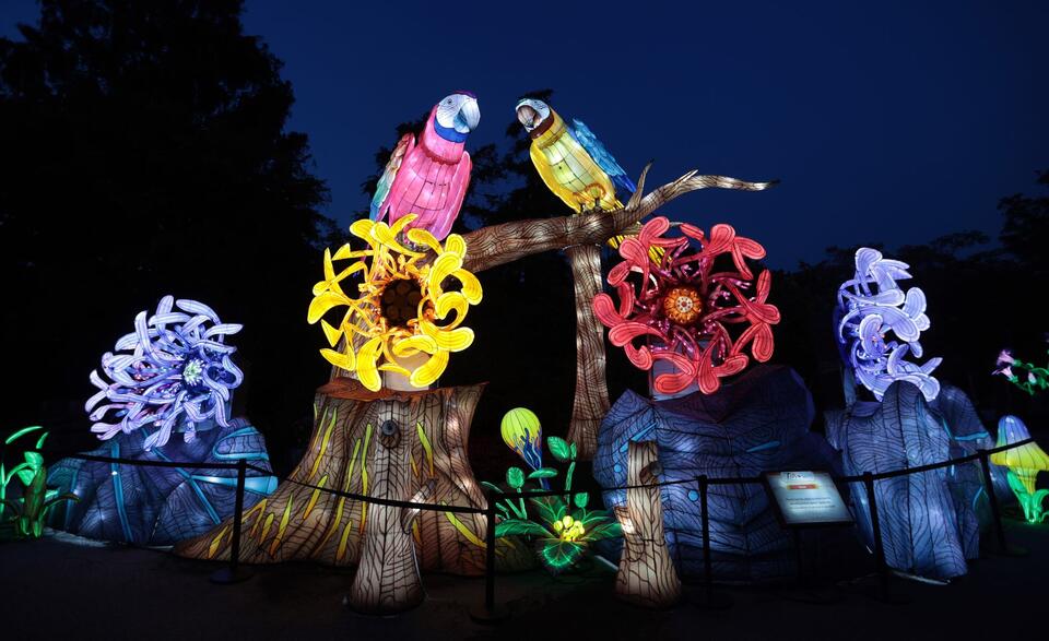 Cleveland Zoo lights up summer with lanterns & bikes