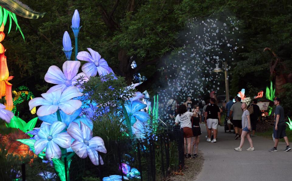 Cleveland Zoo lights up summer with lanterns & bikes