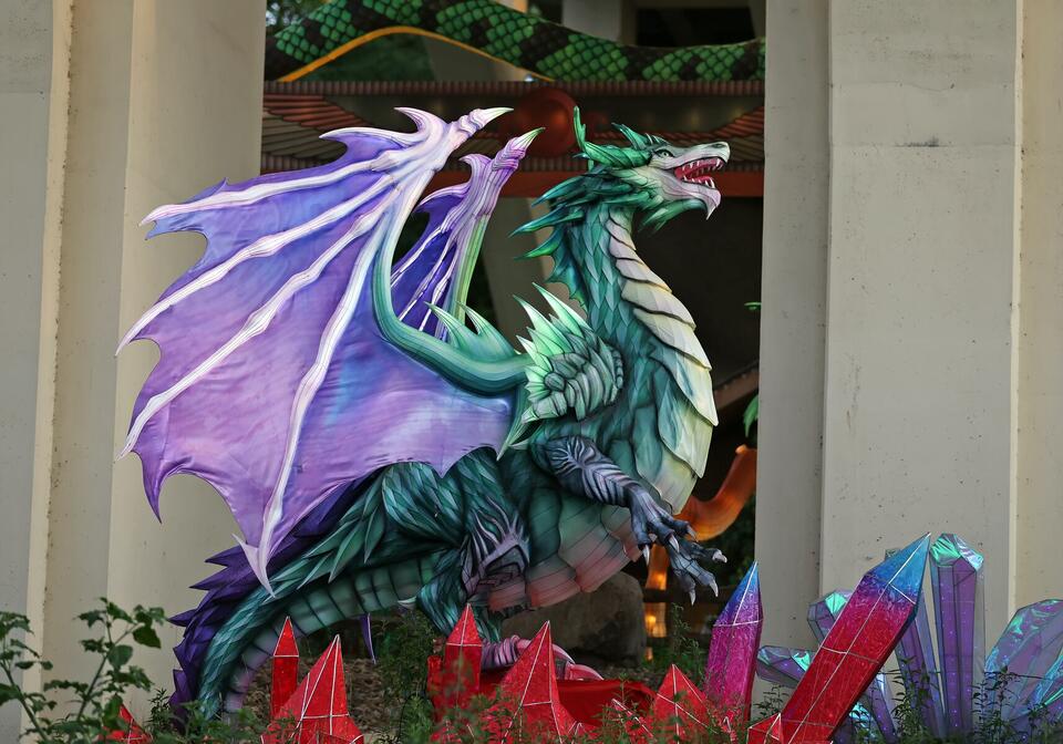 Cleveland Zoo lights up summer with lanterns & bikes