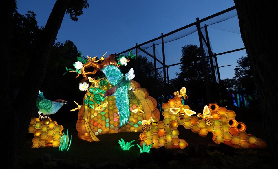 Cleveland Zoo lights up summer with lanterns & bikes