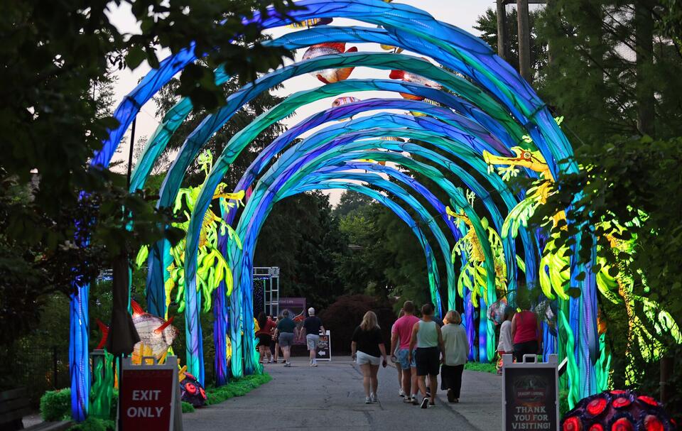 Cleveland Zoo lights up summer with lanterns & bikes