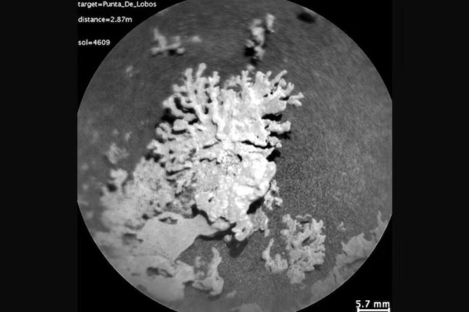 Mars Just Dropped Its Own Flower Power