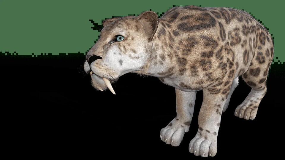 Ice Age Giants: Where Did They Go?!