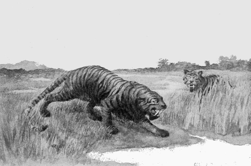 Ice Age Giants: Where Did They Go?!
