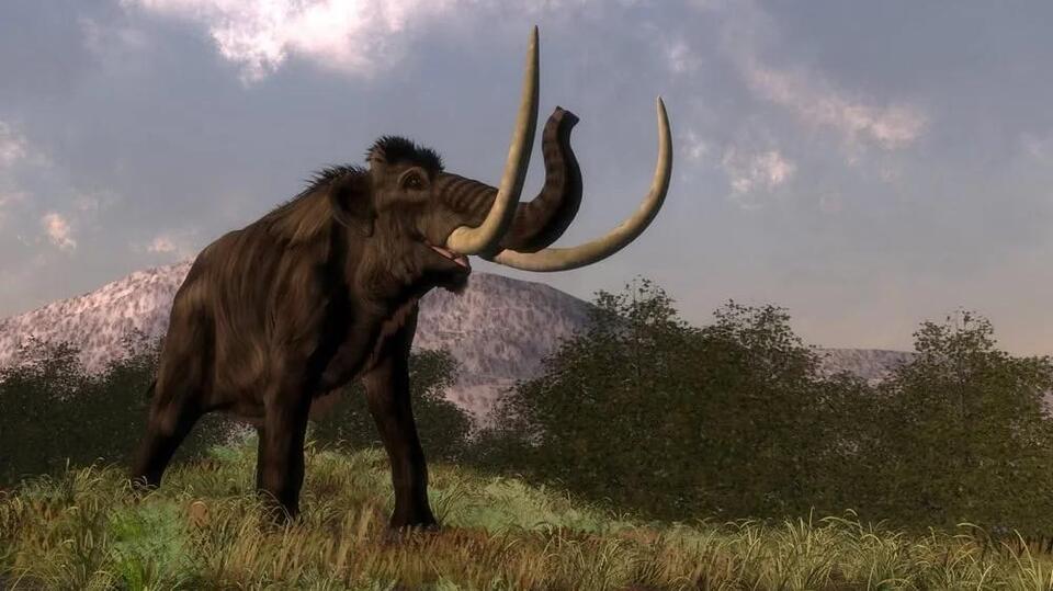 Ice Age Giants: Where Did They Go?!