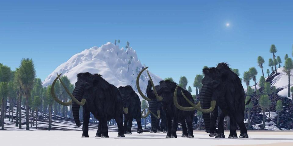 Ice Age Giants: Where Did They Go?!